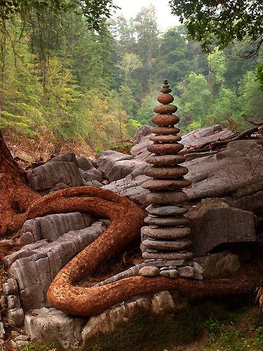 Creations in Nature by Dietmar Voorwold