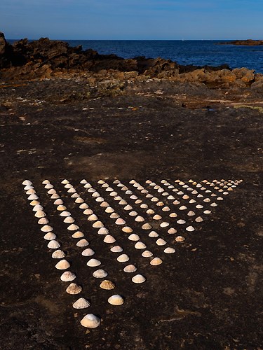 Creations in Nature by Dietmar Voorwold