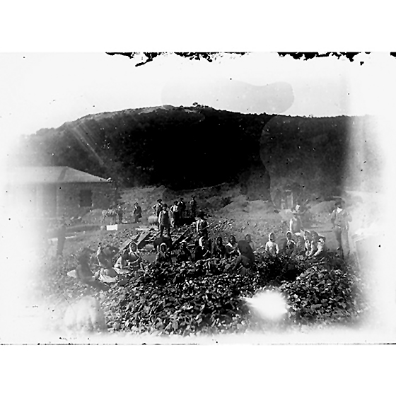 Giulio Pili - Area mineraria del meridione, Donne al lavoro per la cernita della calamina