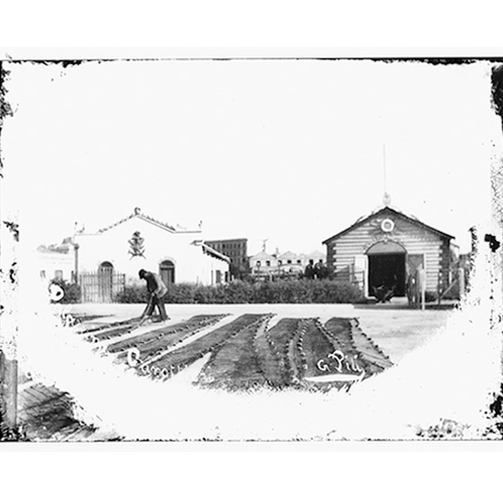 Giulio Pili - Cagliari, Palazzina Soc. Canottieri