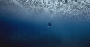 Ocean Gravity by Guillaume Néry