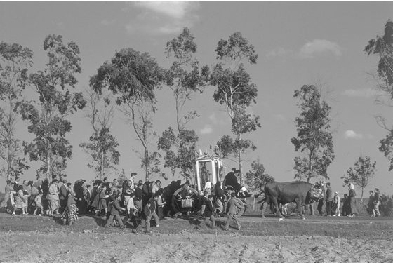 Kryn Taconis - Cagliari, Sant'Efisio 1956