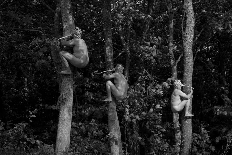 Algis Griškevičius