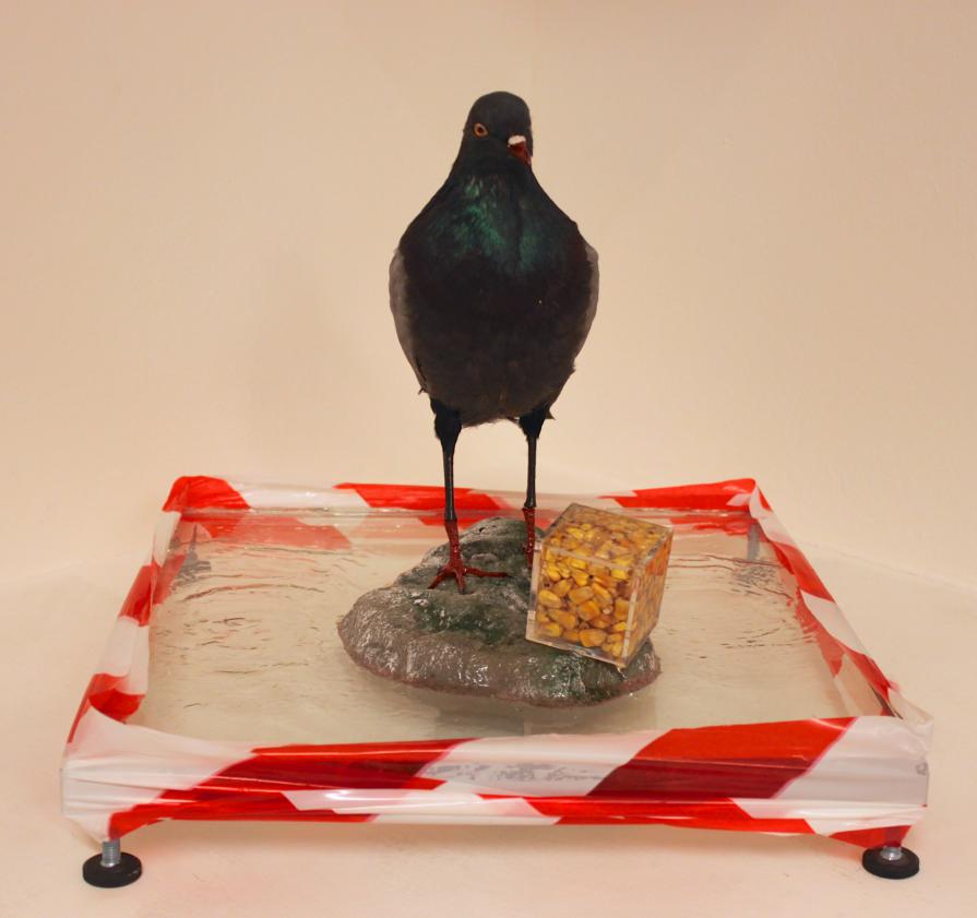 Christian Molin - Aspettando MOSE