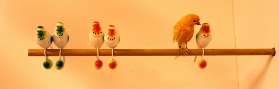 Christian Molin - Feticci