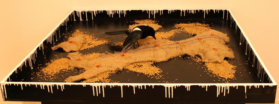 Christian Molin - Il ballo della Gazza Ladra (Pica-Pica dance)