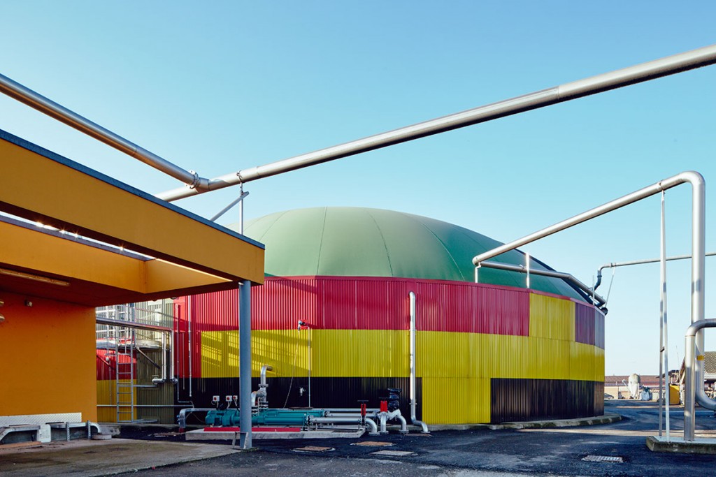 David Tremlett - Castelbosco