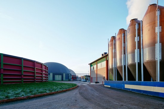 David Tremlett - Castelbosco