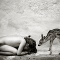 Alain Laboile