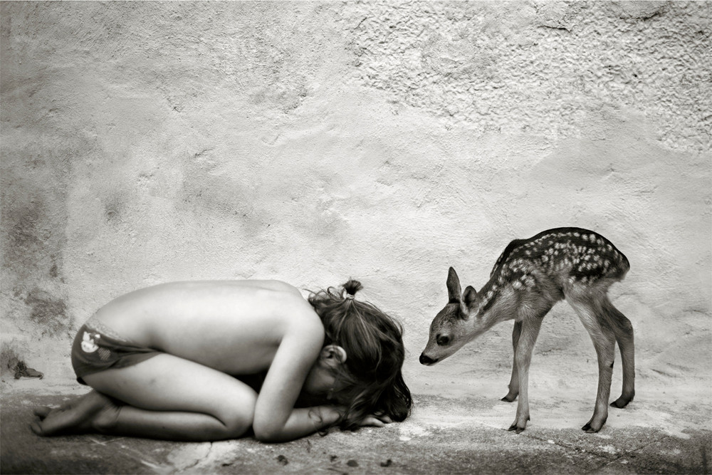 Alain Laboile