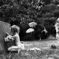 Alain Laboile