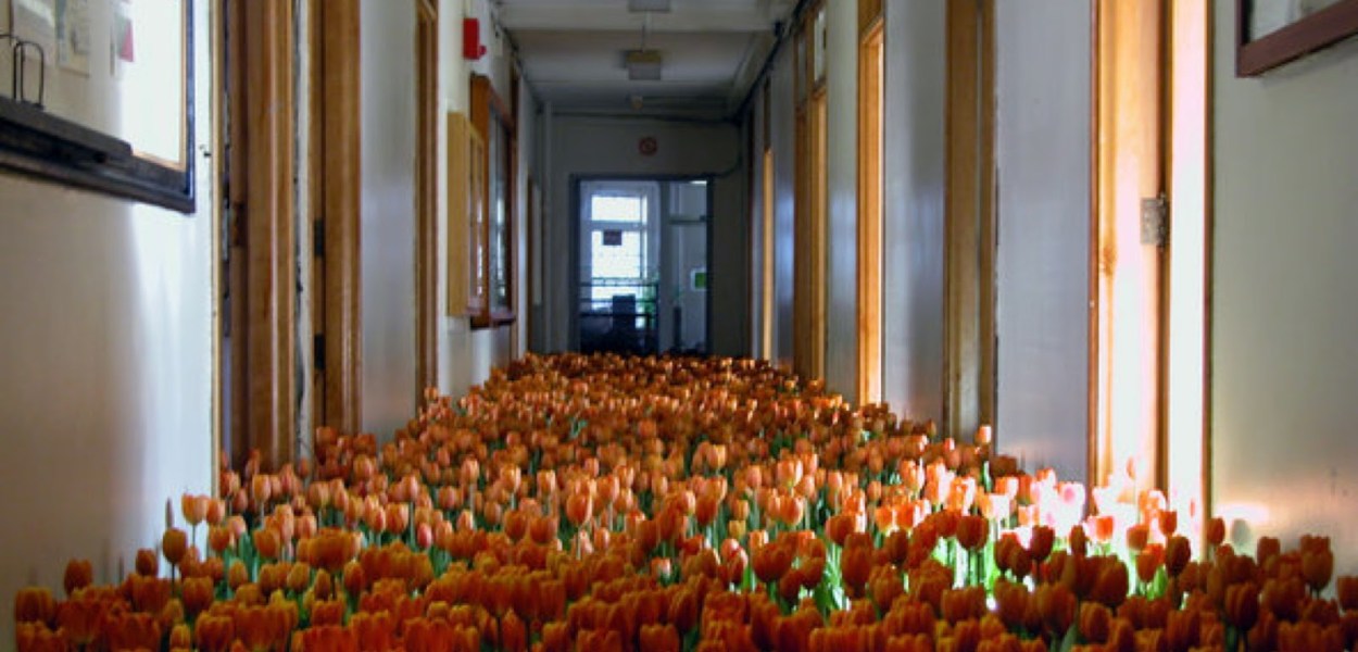 "Bloom" dell'artista statunitense Anna Schuleit