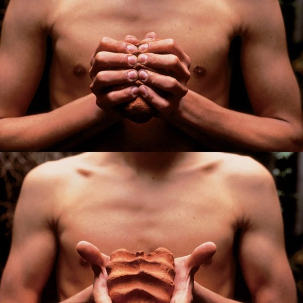 Gabriel Orozco - "My Hands are My Heart", 1991
