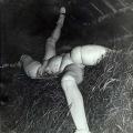 Hans Bellmer