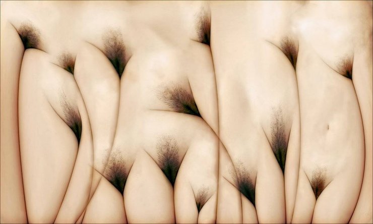 "The Pubis Field" dell'artista Twitchkowitz