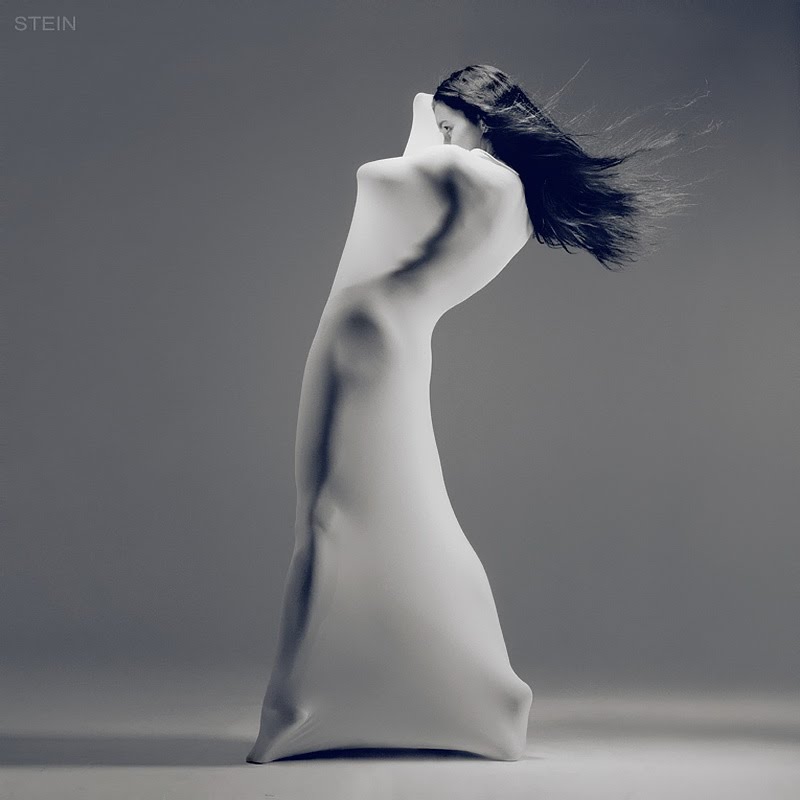Vadim Stein