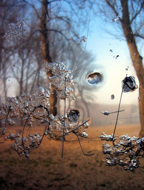 Vanessa Lamounier de Assis