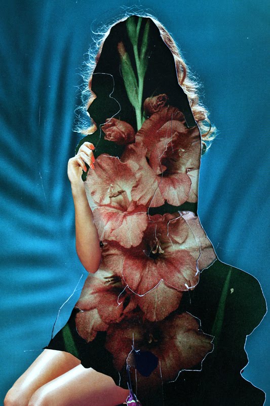 Vanessa Lamounier de Assis