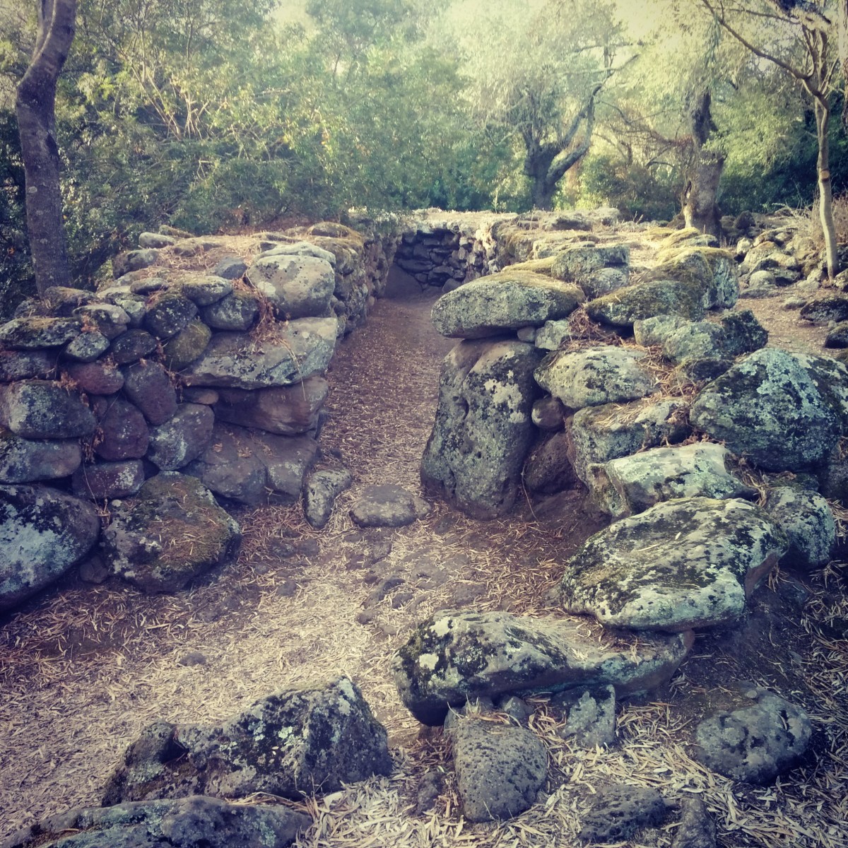 Villaggio nuragico di Santa Cristina