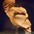 La Venere di Willendorf