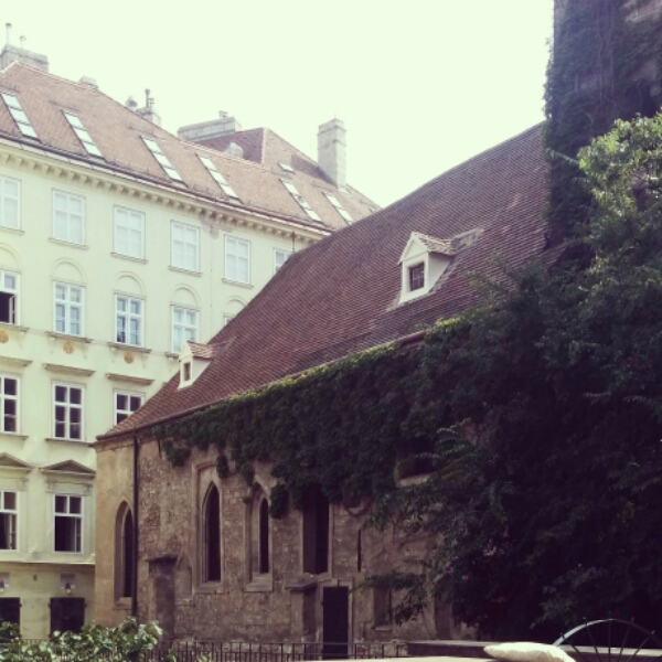 wp-1440348234381 image