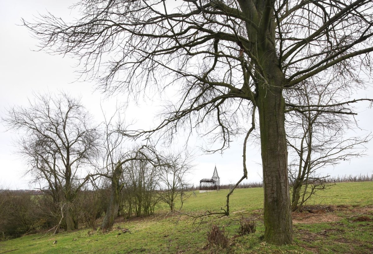 Gijs Van Vaerenbergh