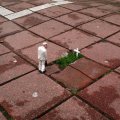 Isaac Cordal
