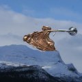 “The force of nature” di Lorenzo Quinn