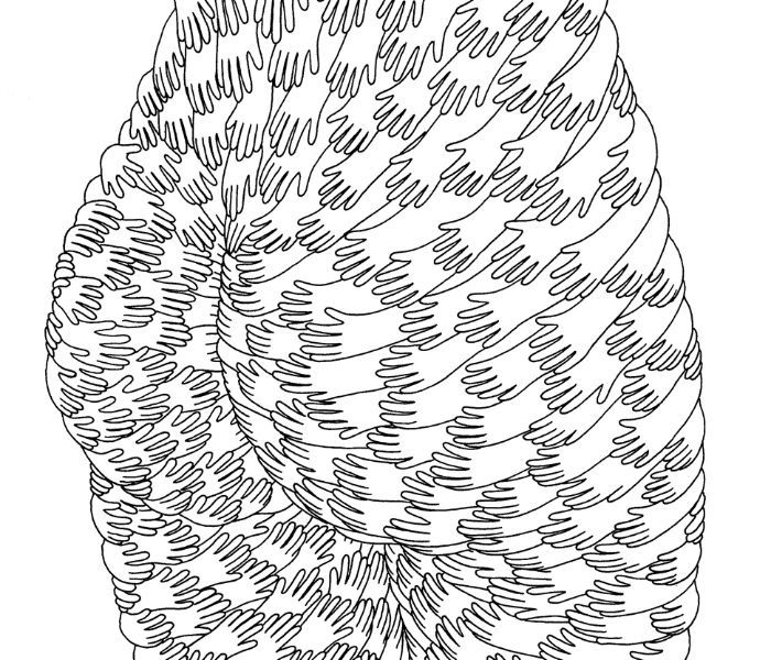 Petra Mrzyk and Jean-François Moriceau