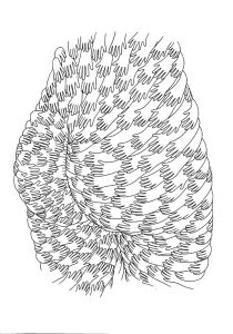 Petra Mrzyk and Jean-François Moriceau