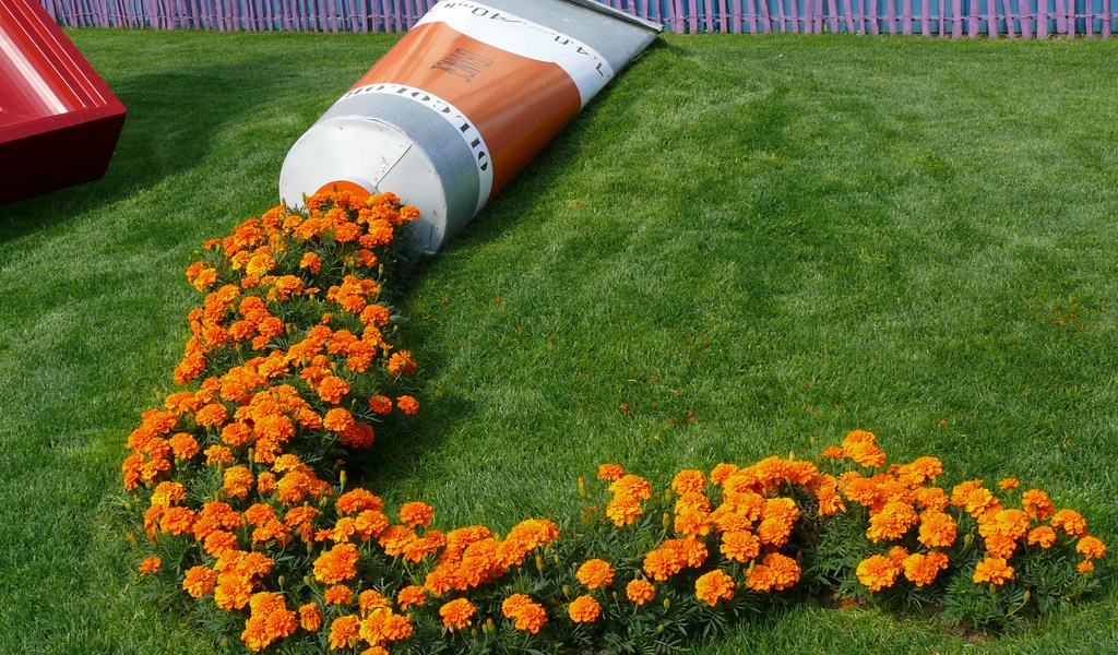 Opera catturata dal fotografo francese Steve Hughes nel parco pubblico di Boulogne-sur-Mer