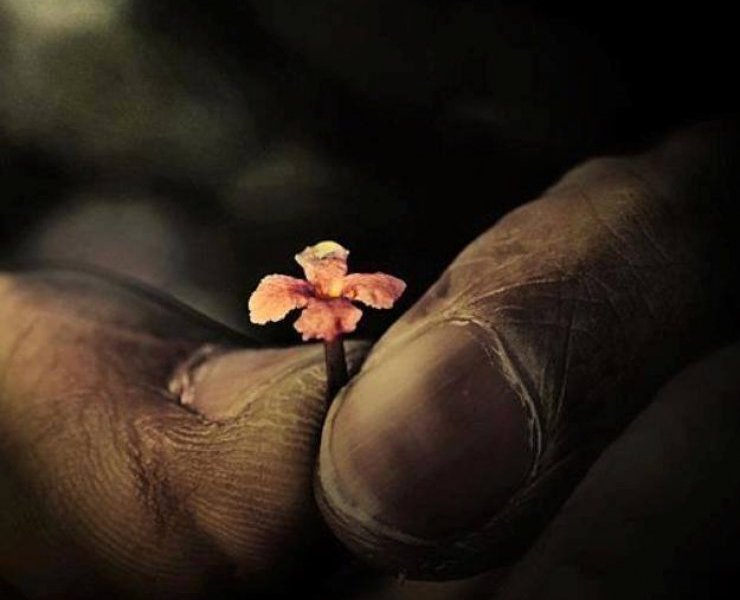 Foto di autore sconosciuto