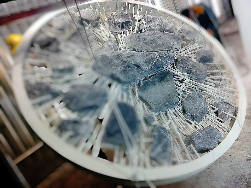 Jacopo Mandich - Pelle di corpo celeste