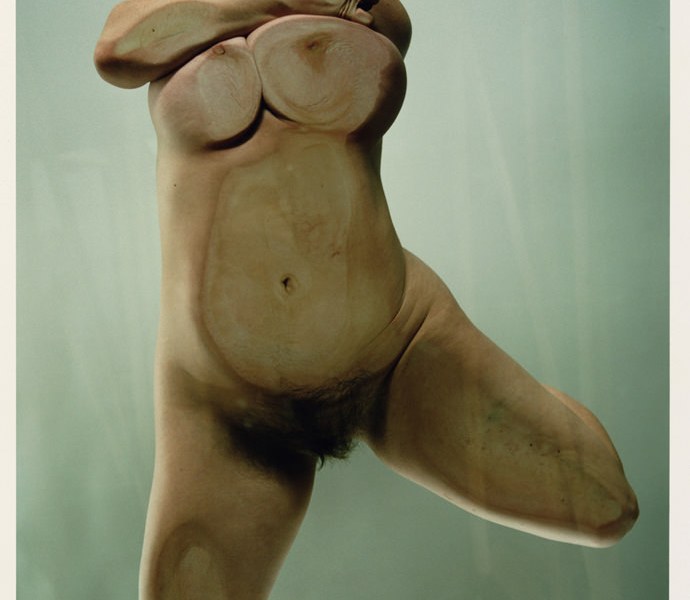 Jenny Saville e Glen Luchford