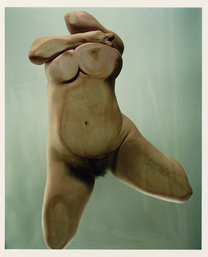 Jenny Saville e Glen Luchford