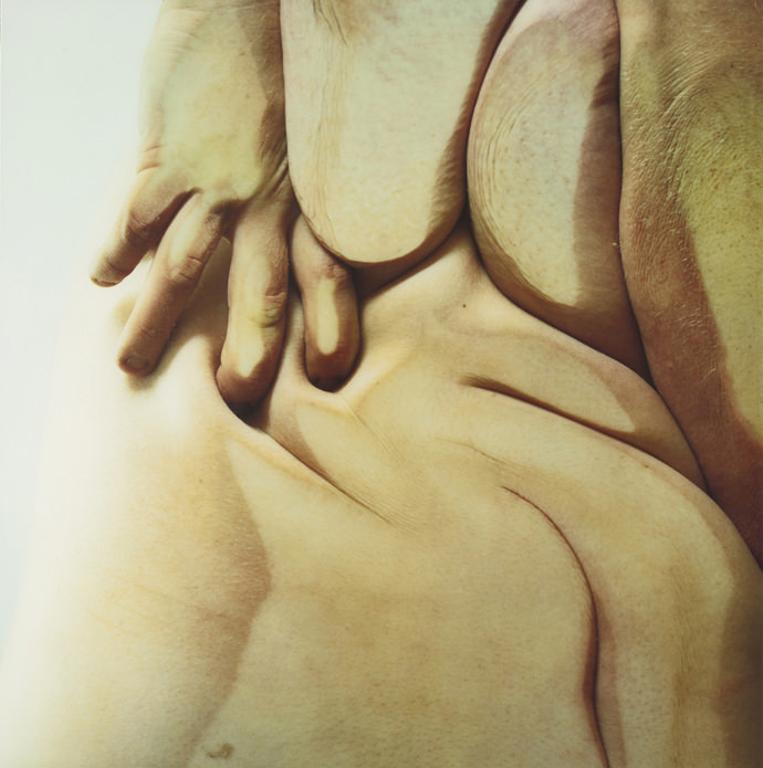 Jenny Saville e Glen Luchford