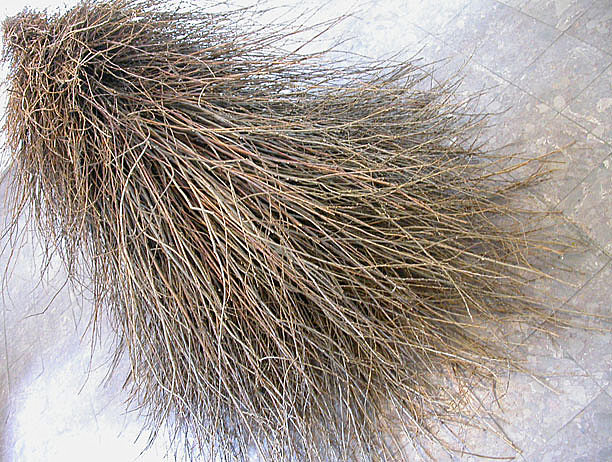 Stillness in Motion by Olga Ziemska