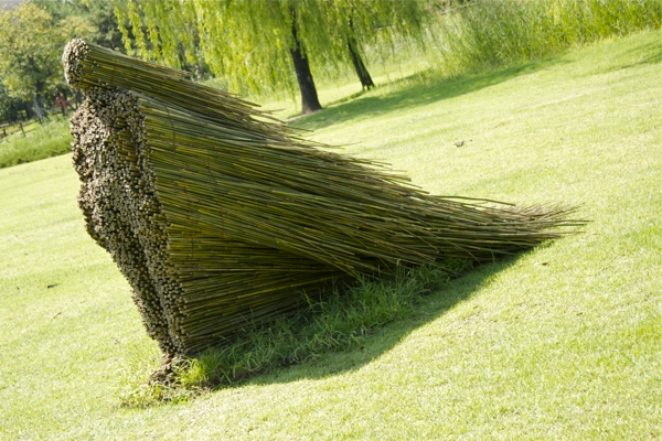 Stillness in Motion by Olga Ziemska