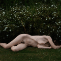 Polly Penrose