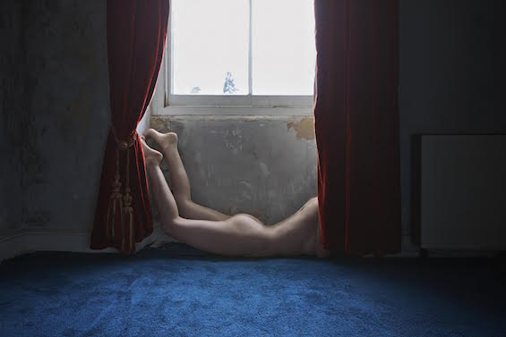 Polly Penrose