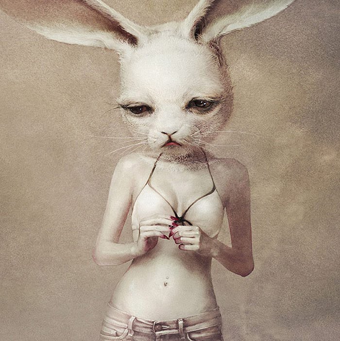 Ryohei Hase