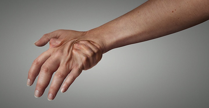 Human Metamorphosis by Taylor James