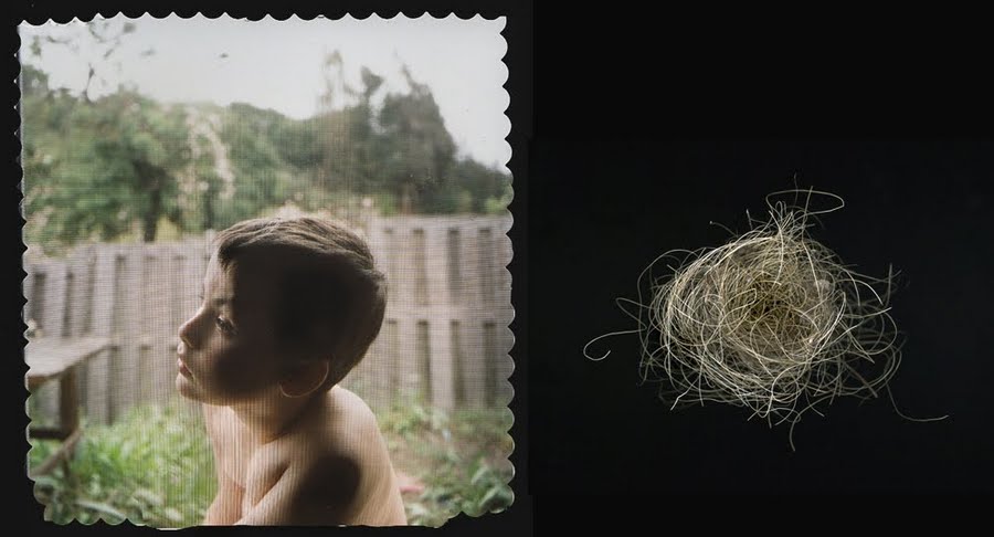 Echolilia by Timothy Archibald