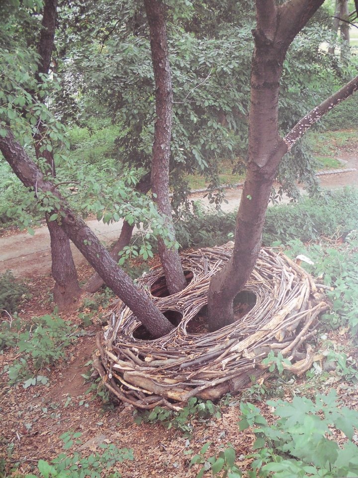 Andy Goldsworthy