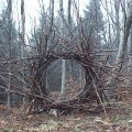 Andy Goldsworthy