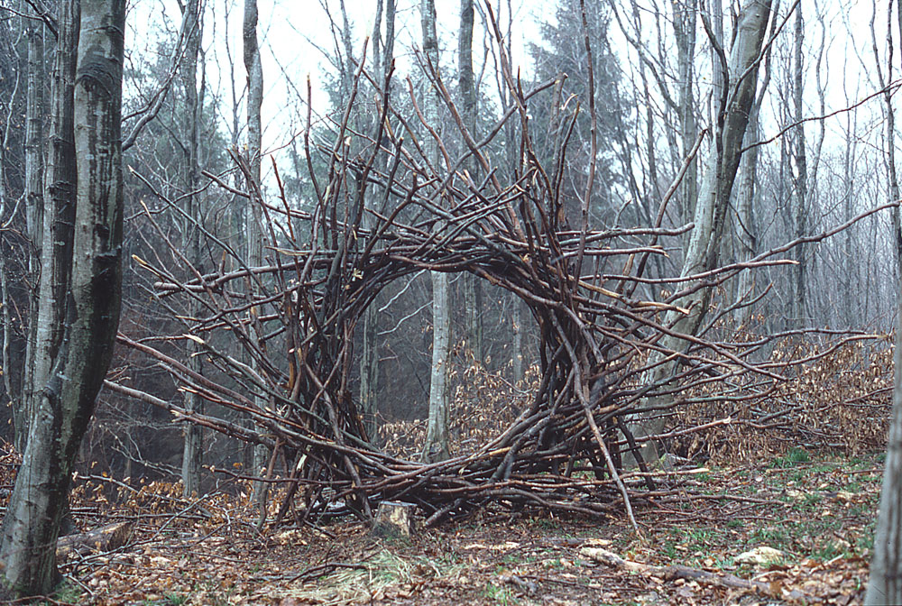 Andy Goldsworthy