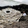 Andy Goldsworthy