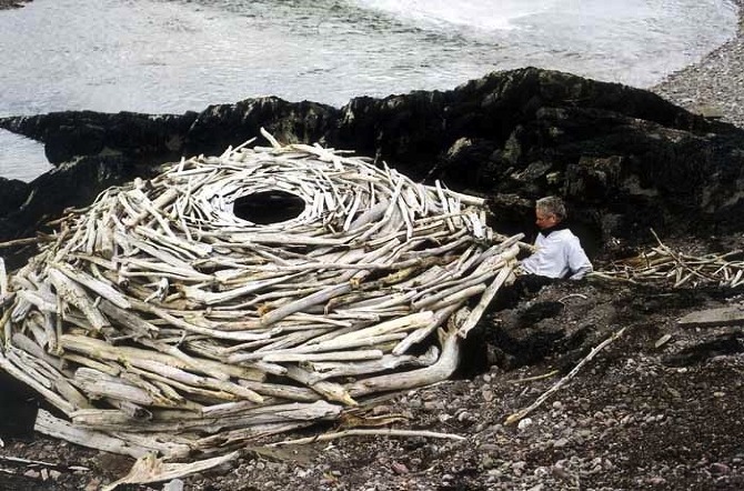 Andy Goldsworthy