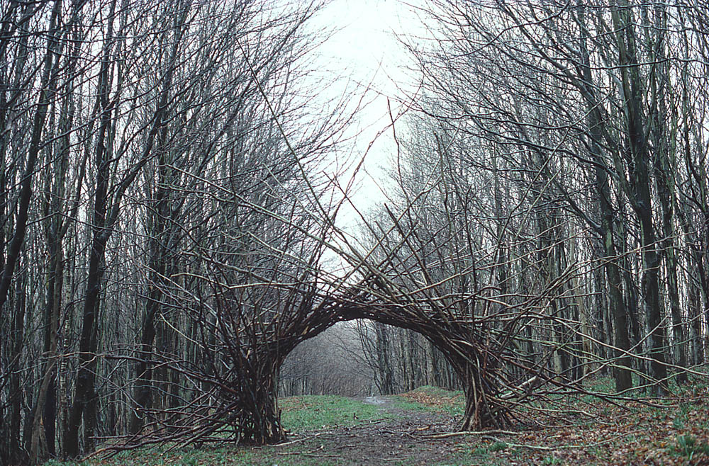Andy Goldsworthy