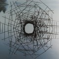 Andy Goldsworthy